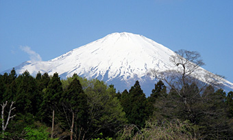 富士山宝永噴火３００年記念　地層剥ぎ取り・地層レプリカ制作業務